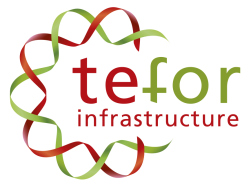 logo_TEFOR