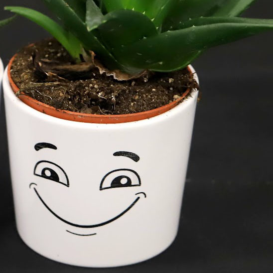 Diamond Congress Kft. - Contact us